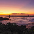 Foggy Dawn