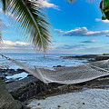 Hawaiian Hammock